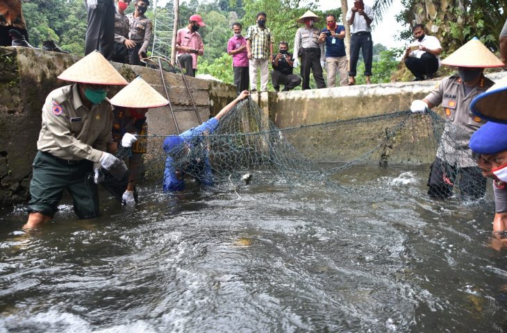 Pelepasan bibit ikan bantuan Pemkab Agam untuk masyarakat. (Foto: Dok.Humas Pemkab Agam)
