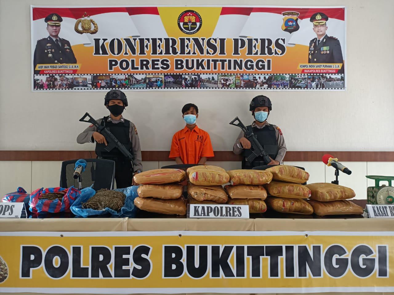 Tersangka pengedar ganja di Kota Bukittinggi. (Foto: Dok.Polres Bukittinggi)