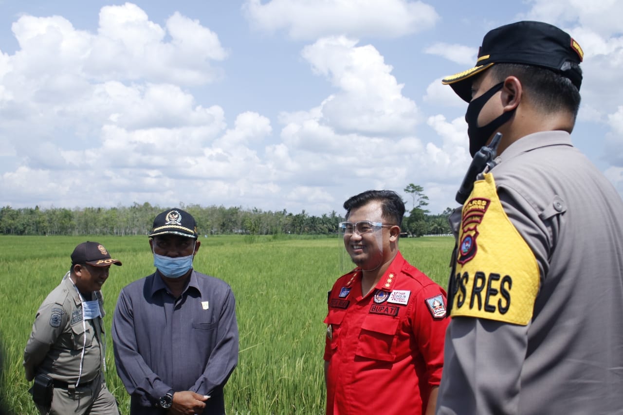 Nagari Rumah Gadang Dharmasraya