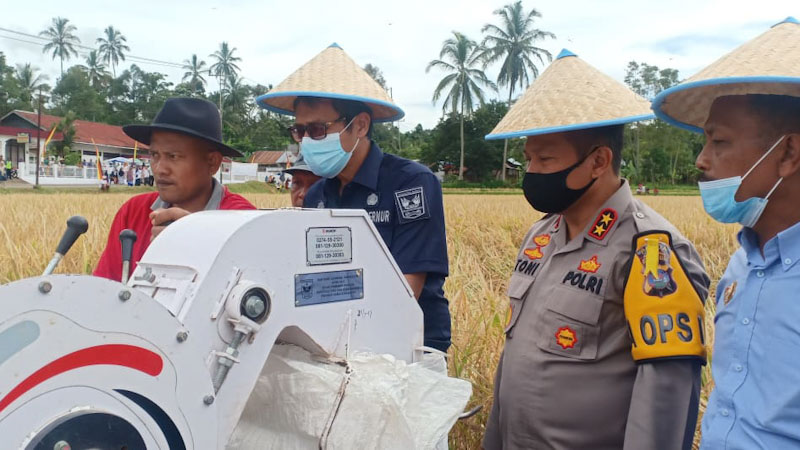 Gubernur dan Kapolda Sumbar Panen Padi di Nagari Minangkabau