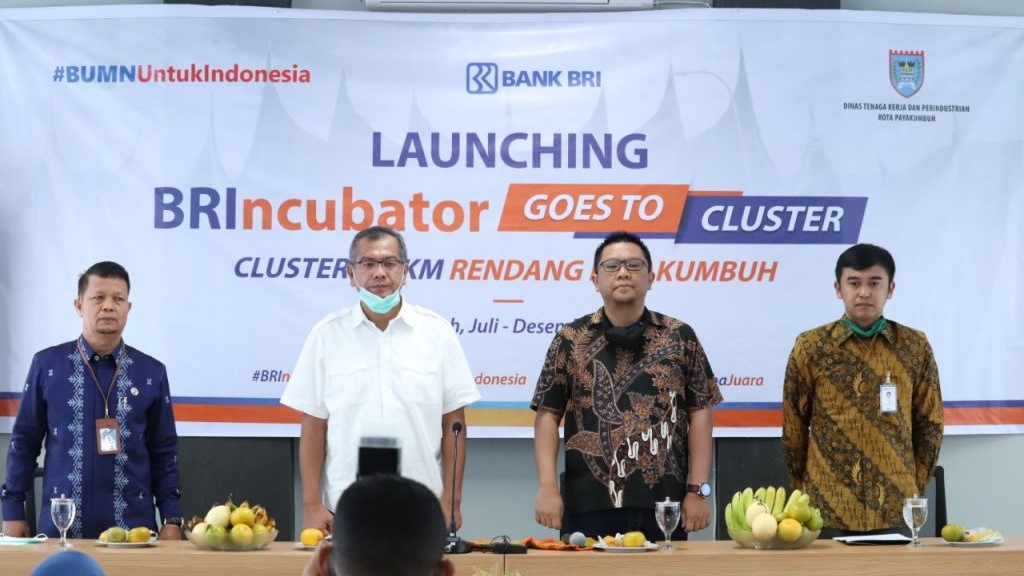BRIncubator Goes to Cluster