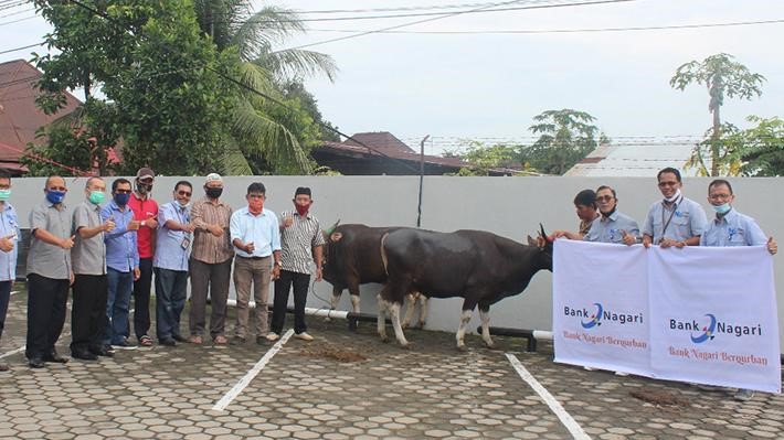 Bank Nagari Serahkan 5 Ekor Sapi Kurban ke Masyarakat Sekitar