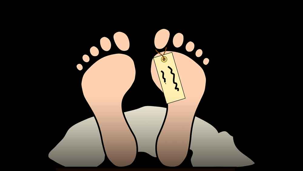 Jumlah korban meninggal dunia akibat longsor yang terjadi di kawasan tambang emas ilegal di Kabupaten Solok, mencapai 12 orang.