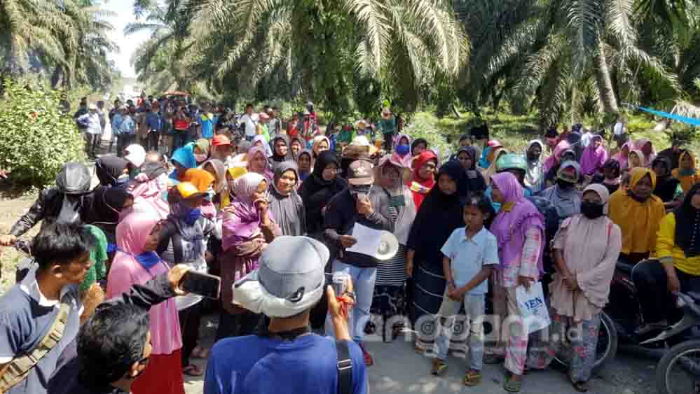 100 Hari Kerja Menteri ATR/BPN: HPL Lampaui Target, Tanah Ulayat Sumbar Masih Jadi Tantangan