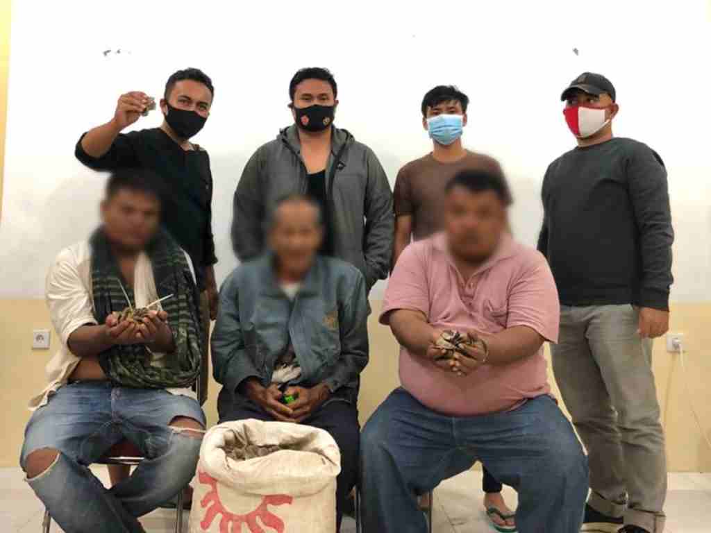 Tiga penjual sisik trenggiling yang diringkus tim gabungan Polres Pasaman Barat dan BKSDA Sumbar. (Foto: Dok. Polres Pasaman Barat)