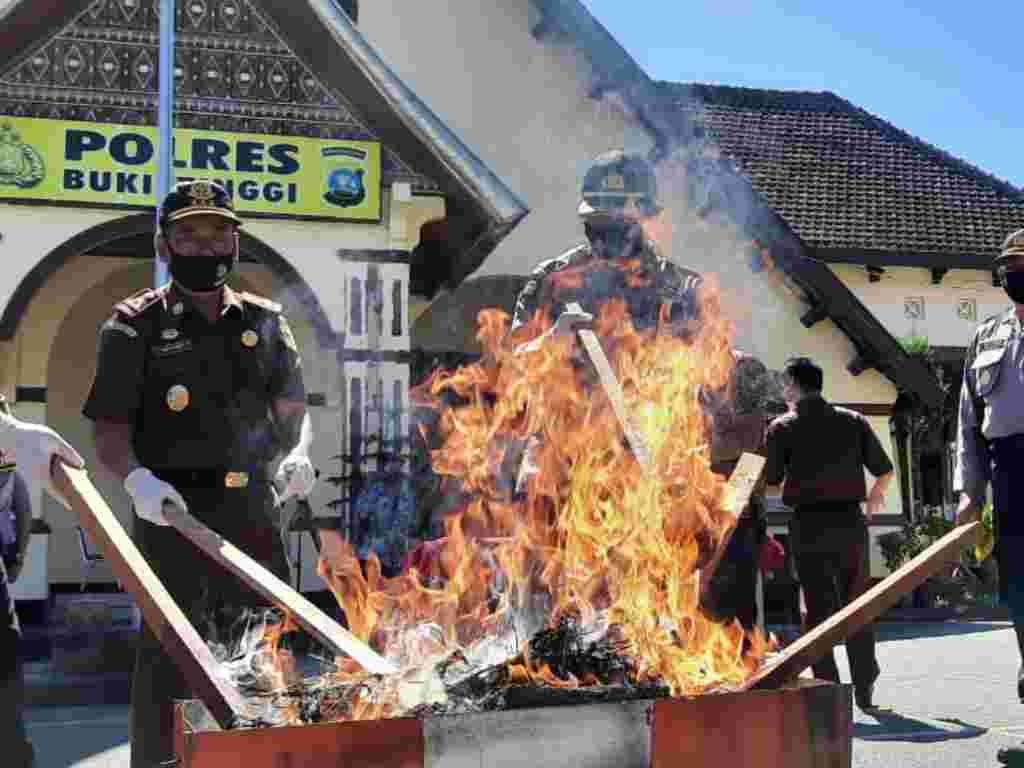 Polisi memusnahkan ganja seberat 11 kilogram di Mapolres Bukittinggi. (Foto: Dok.Polres Bukittinggi)