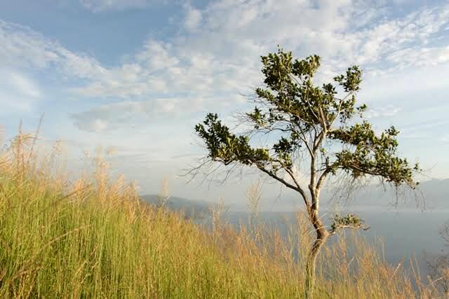 Menilik Keindahan Aua Sarumpun