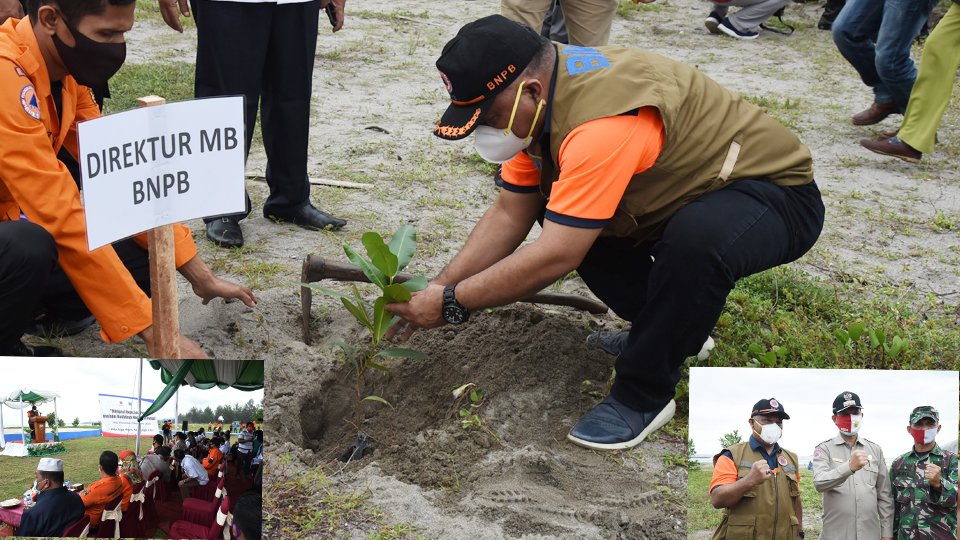 Deputi Mitigasi Bencana BNPB Tanam Pohon Pinago di Pantai Pariaman