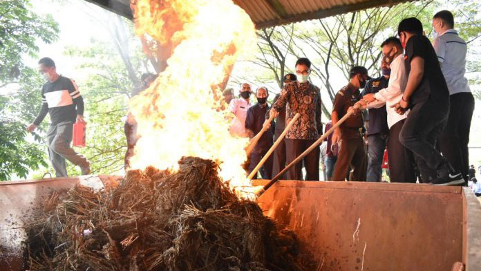 Pemusnahan BB, Hampir 100 Kilogram Ganja Dibakar di Payakumbuh