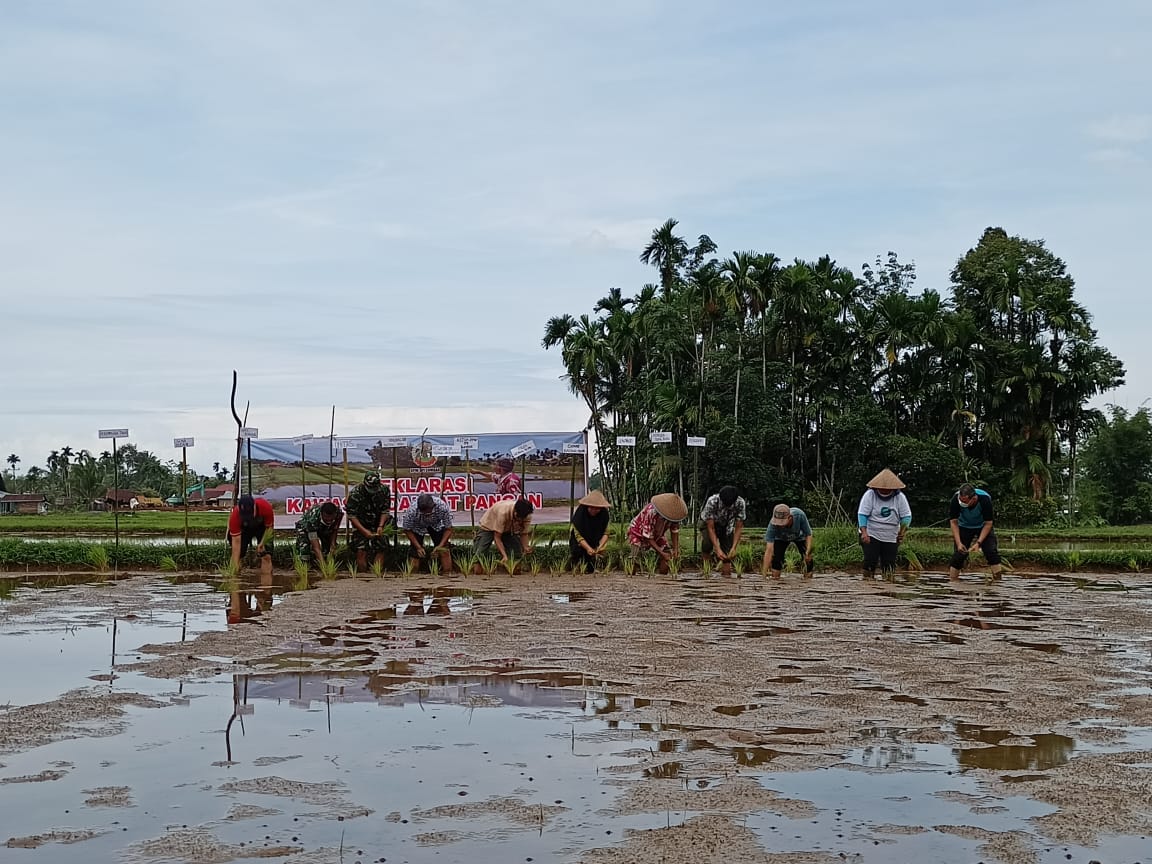 Menggelorakan Kawasan Daulat Pangan di Pinggir Tol Padang - Pekanbaru