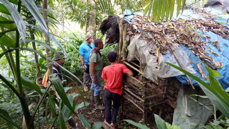 Satwa Liar Satroni Kandang Ternak Warga di Agam, 3 Kambing Kena Terkam