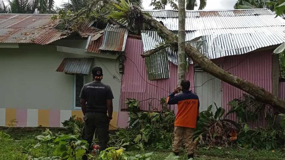 Pohon Tumbang Rusak 2 Rumah Warga di Padang