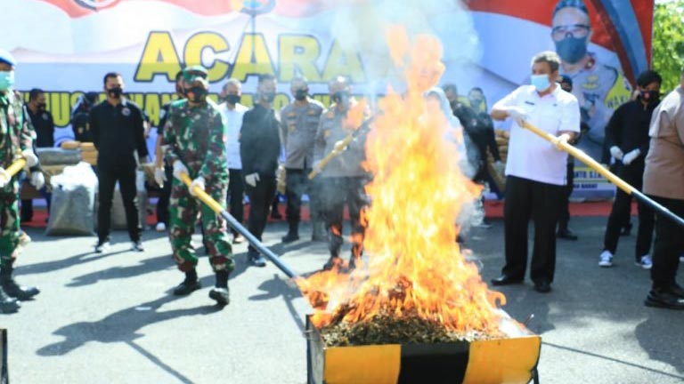 Ratusan Kilogram Ganja Dimusnahkan, Kapolda Sumbar: Ada Sindikat Internasional