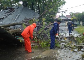 Pohon tumbang timpa pos ronda di Padang. (Foto: Dok. BPBD Padang)