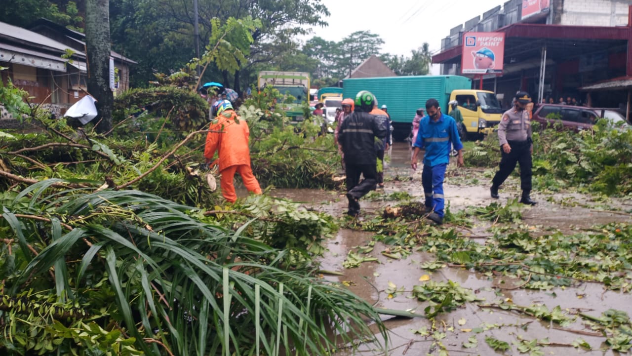 Pohon Tumbang di Indarung, Lalu Lintas Padang-Solok Tersendat
