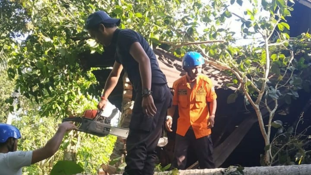 Rumah Warga di Padang Pariaman Rusak Tertimpa Pohon Tumbang