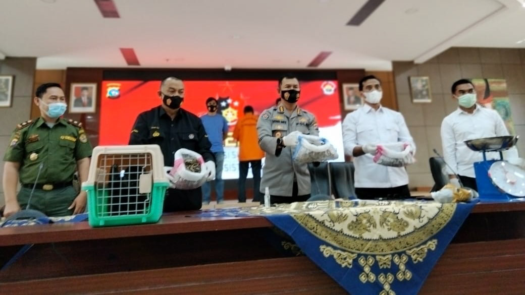 Karyawan BUMD di Solok Terlibat Jual Beli Satwa Dilindungi