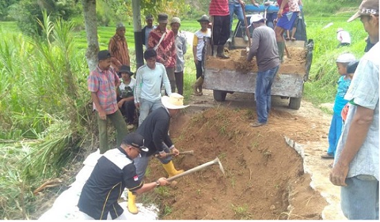 Jalan Terban Akibat Hujan, Warga Pasia Laweh Agam Inisiatif Bangun Turap