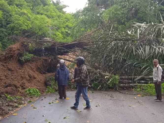 Kondisi longsor dan pohon tumbang yang menutup badan jalan alternatif dari Agam ke Bukittinggi. (Foto: Dok.BPBD Agam)