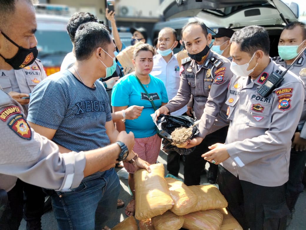 Penyelundupan Digagalkan Polantas, Total Ganja yang Disita Polresta Padang 32 Kg