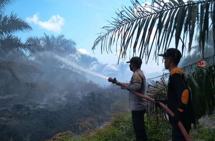 Petugas melakukan pemadaman kebakaran lahan di Agam. (foto: AMCNews.co.id)
