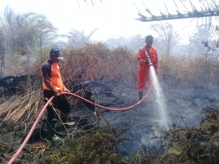 Petugas dari BPBD Agam berupaya memadamkan api yang membakar lahan di daerah tersebut. (foto: BPBD Agam)