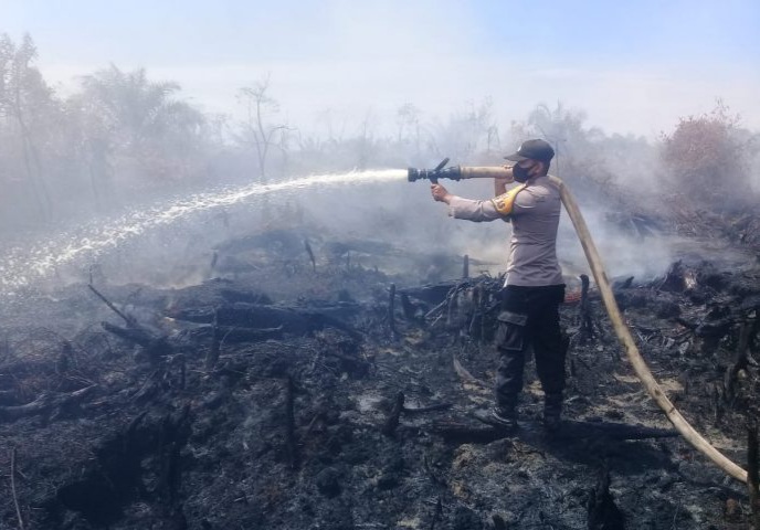 Ini Langkah Dinas Kehutanan Sumbar Antisipasi Terjadinya Karhutla