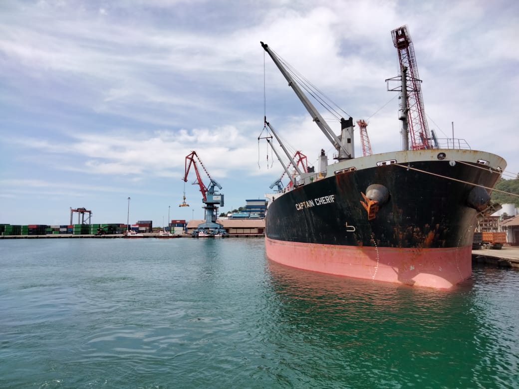 Komoditas Ekspor di Pelabuhan Teluk Bayur Didominasi Minyak Kelapa Sawit dan Semen