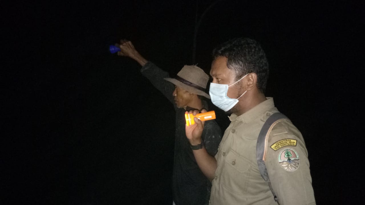 Buaya Muara Muncul di Pantai Tiku Agam, Pengunjung Diimbau Hati-hati