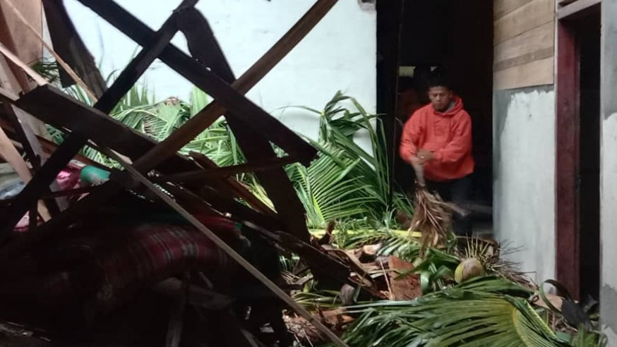 Angin Kencang Sebabkan 5 Pohon Tumbang di Padang Pariaman, Rumah dan Mobil Tertimpa