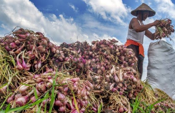 Lonjakan harga komoditas pangan seperti bawang merah dan daging ayam mempengaruhi kenaikan inflasi Sumatra Barat (Sumbar) pada Oktober 2024.