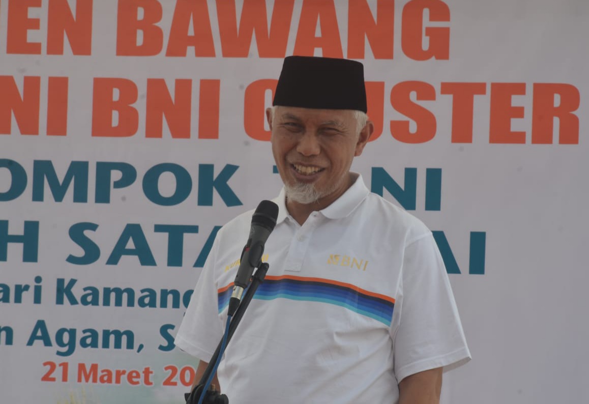 jokowi provinsi