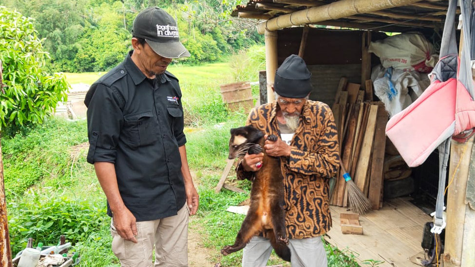 1,5 Tahun Dirawat Warga, Seekor Musang Bulan Diserahkan ke Kebun Binatang Bukittinggi
