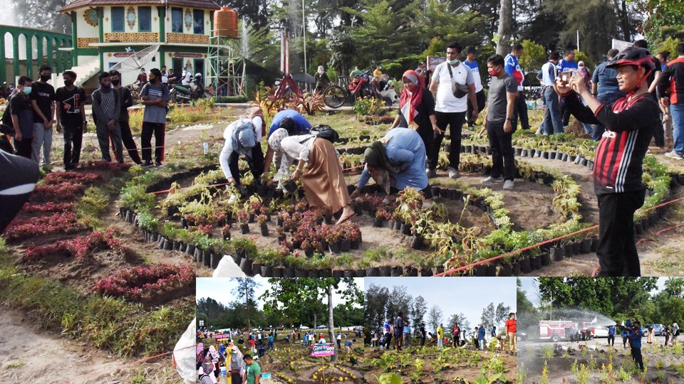 Tingkatkan Sektor Pertanian, Wako Pariaman Gandeng Milenial Manfaatkan Lahan Tidur