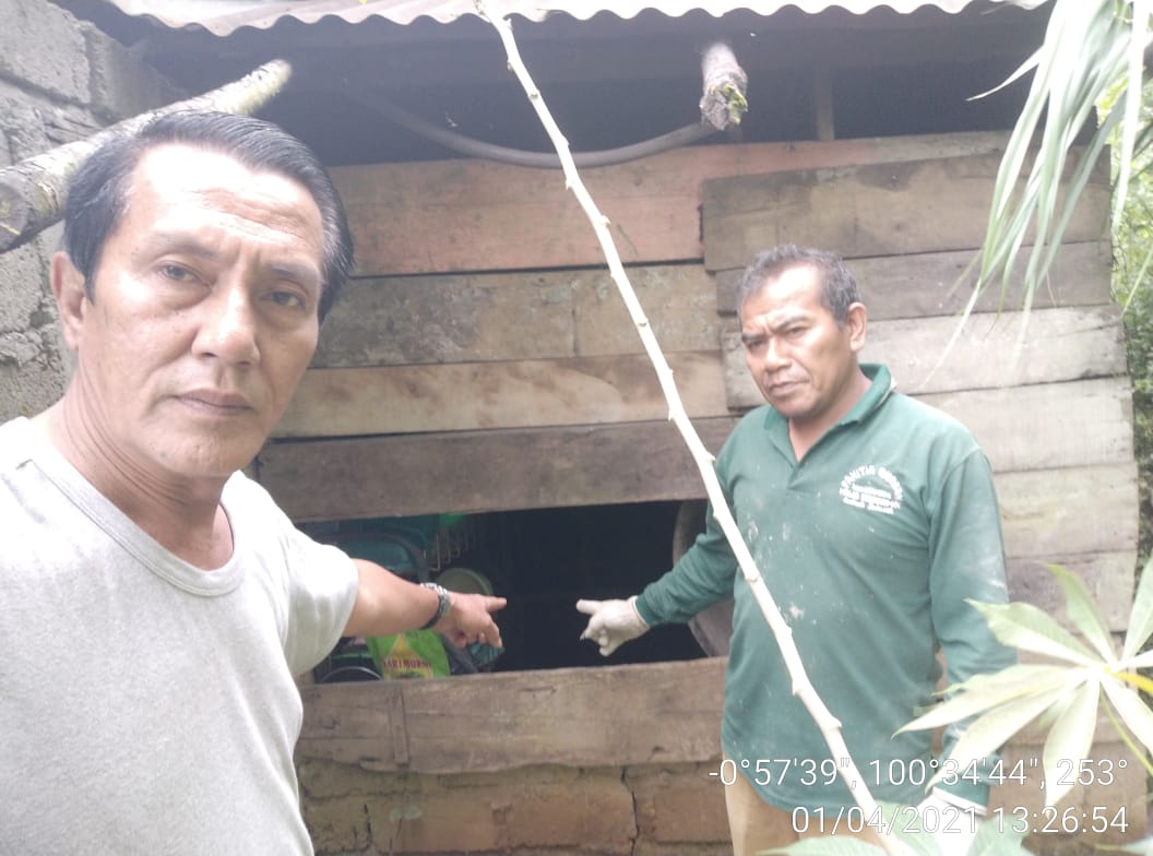 Gara-gara Bau Minyak Goreng, Seekor Beruang Ubrak-abrik Dapur Warga Solok