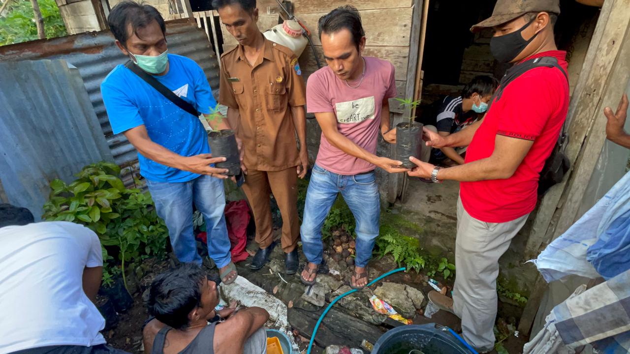 Seorang Petani di Pasbar Ditangkap, Polisi Temukan 23 Batang Ganja dalam Polybag