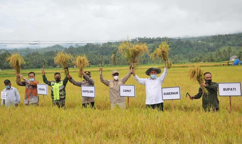 Peneliti Lembaga Ilmu Pengetahuan Indonesia (LIPI), Wahyu Wibawa mengungkap beberapa alasan yang menentukan tingkat adopsi varietas padi di