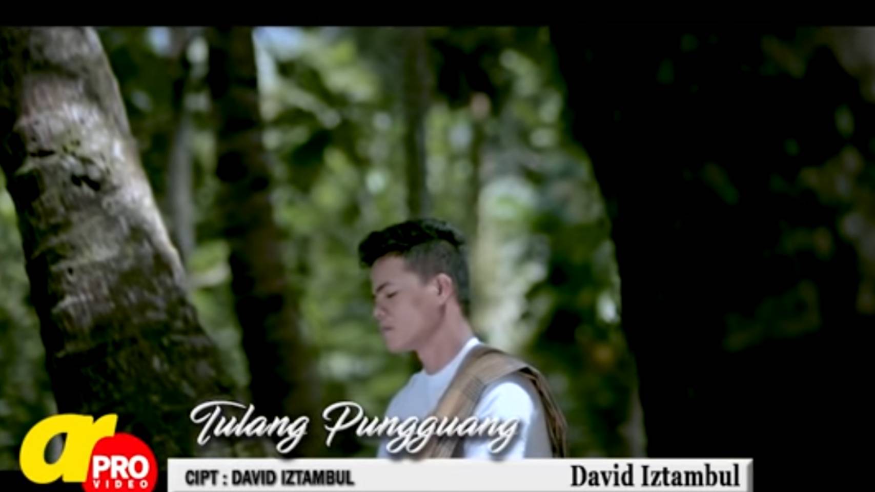 Lirik dan Makna Lagu Minang "Tulang Pungguang"