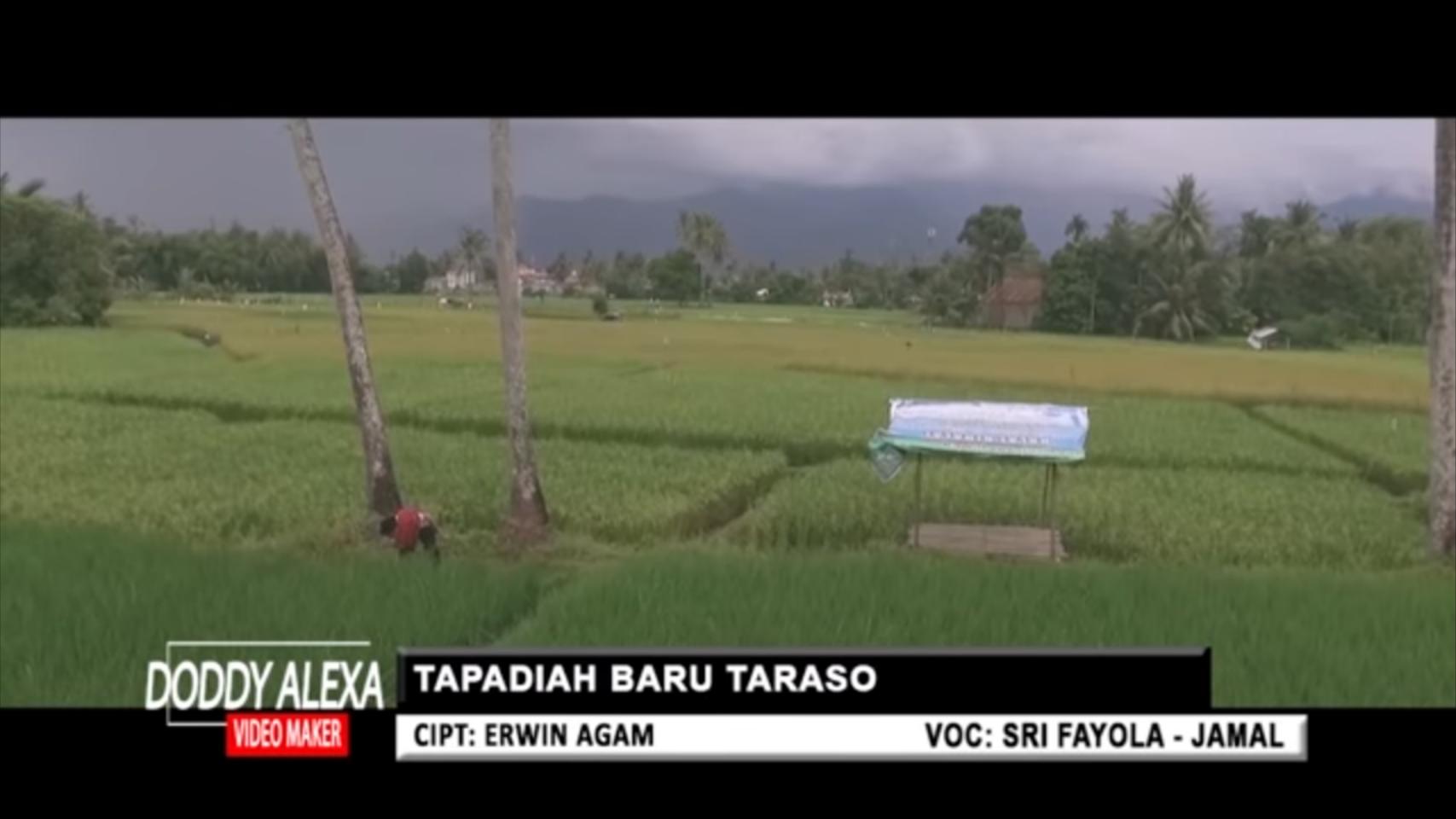 Lirik dan Makna Lagu Minang "Tapadiah Baru Taraso"