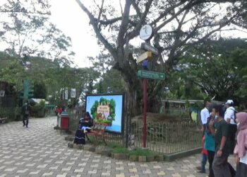 Objek wisata Taman Marga Satwa Budaya Kinantan (TMSBK) Bukittinggi (foto: KW/langgam.id)