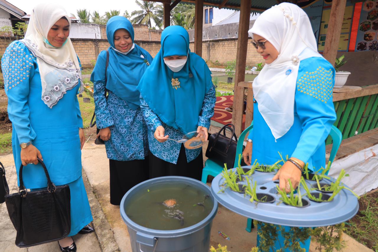 Terbaik di Payakumbuh, TP PKK Padang Tinggi Piliang Dinilai Tim Provinsi Sumbar
