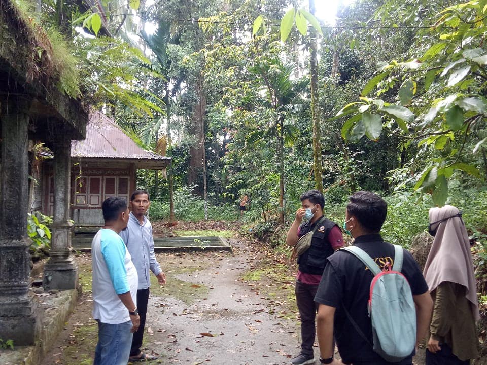 3 Beruk Berkeliaran Ganggu Tanaman Warga di Agam
