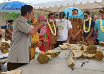 Festival durian di Solok Selatan. (Foto: Biro Adpim Pemprov Sumbar)