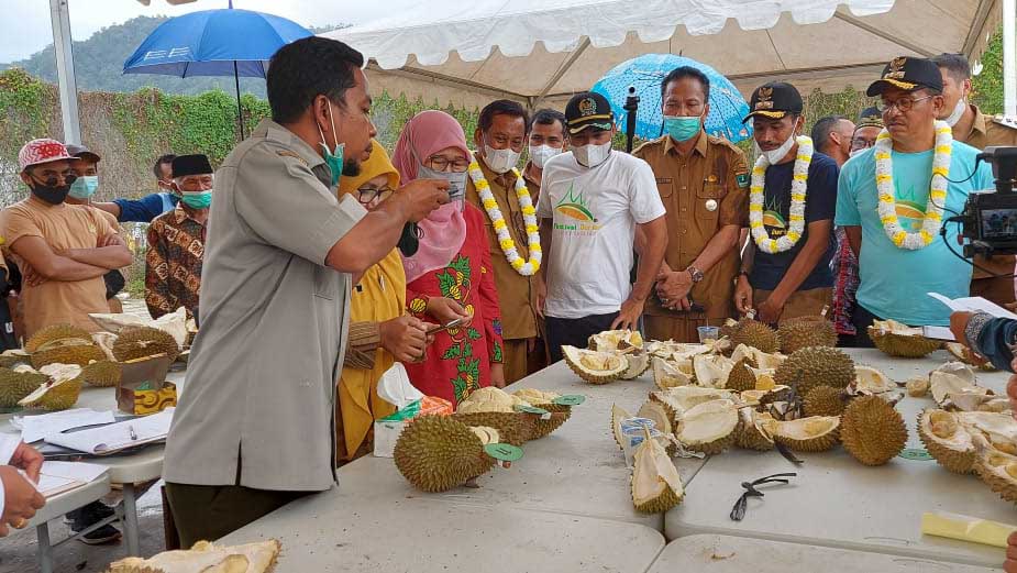 Pertama di Sumbar, Solok Selatan Gelar Festival Durian