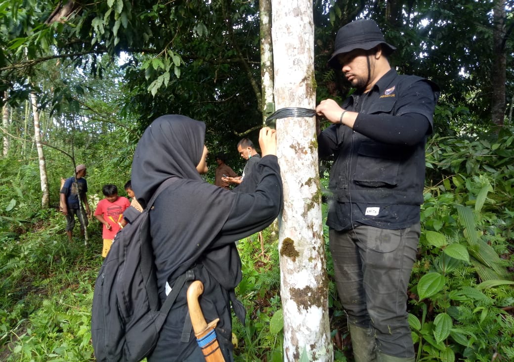 Pantau Makhluk Misterius di Agam, BKSDA Pasang 3 Kamera Penjebak