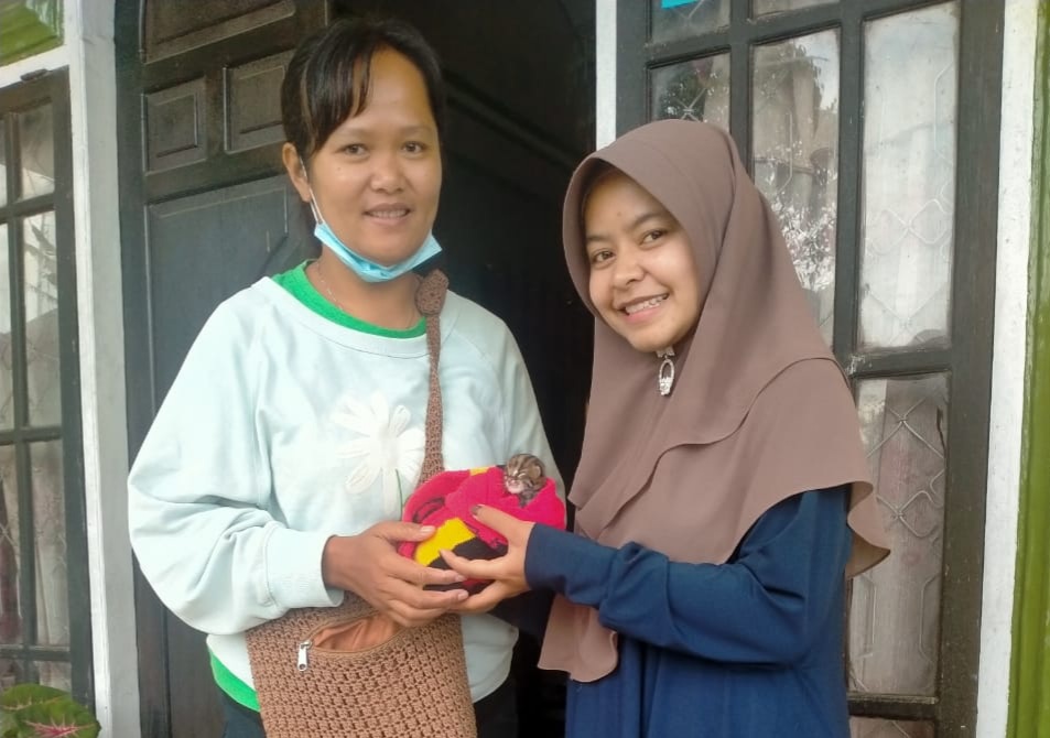 Ditemukan Tercecer, Warga Solok Serahkan Kucing Hutan ke BKSDA