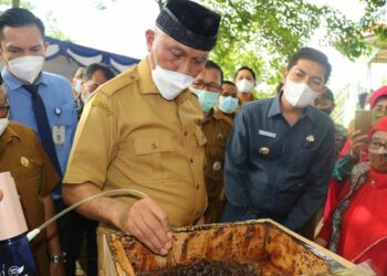 Gubernur Sumbar Mahyeldi saat mengunjungi budidaya madu lebah kelulut di Kota Sawahlunto beberapa waktu lalu. (foto: IG Mahyeldi)