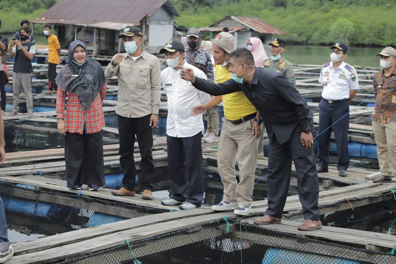 Garap Potensi Perikanan Laut, Pemkab Pessel Butuh SDM Handal dan Teknologi