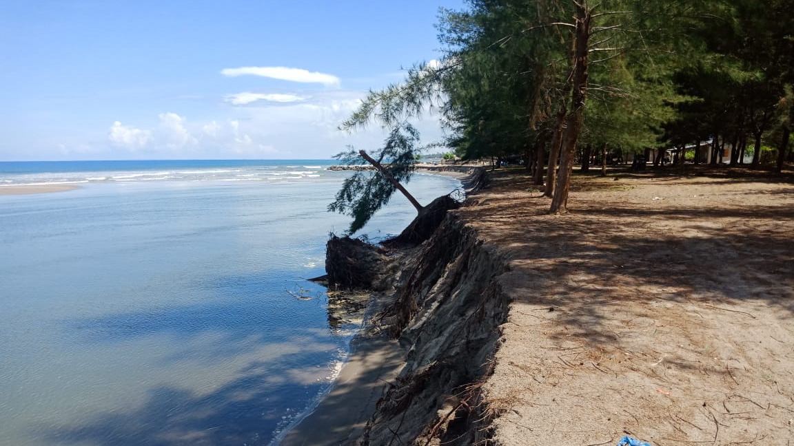 abrasi pantai sasak pasaman barat