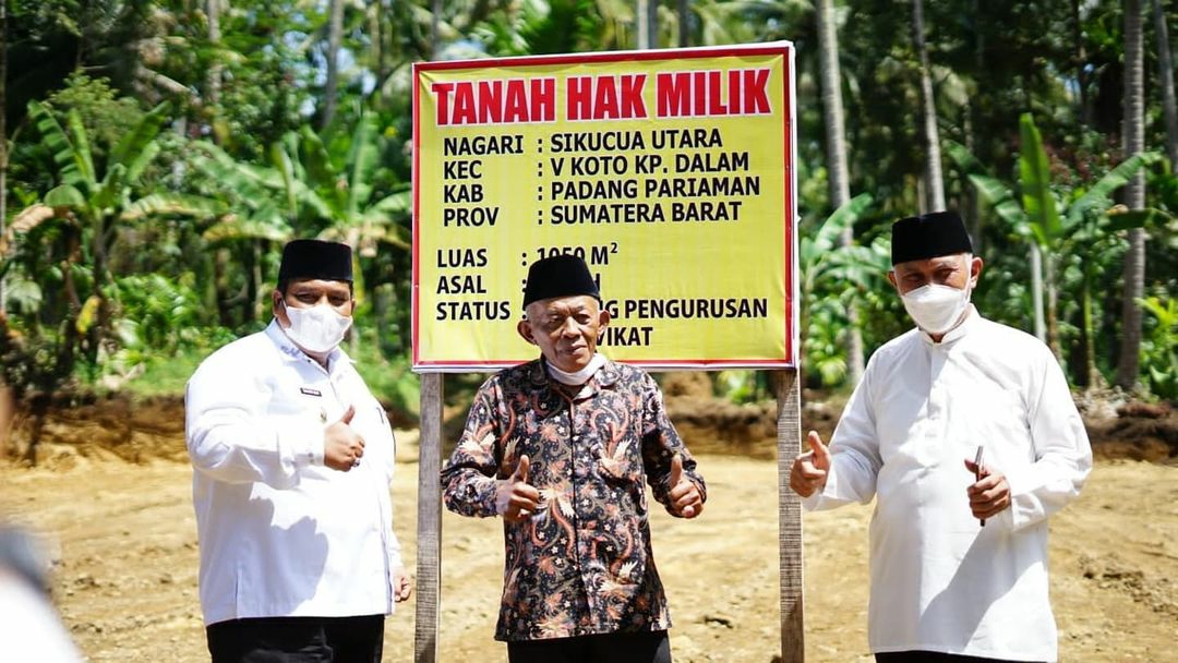 Langgam.id-Kelapa di Padang Pariaman